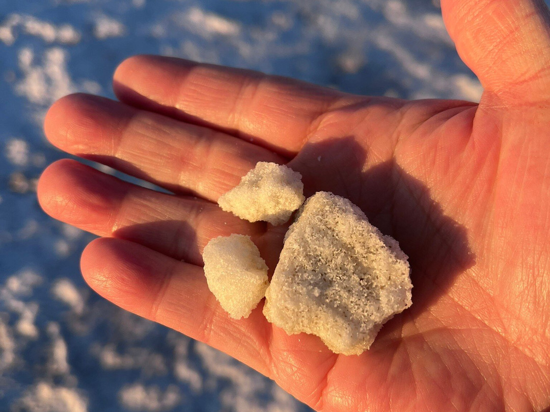 波利维尔盐洼-温多弗必去景点