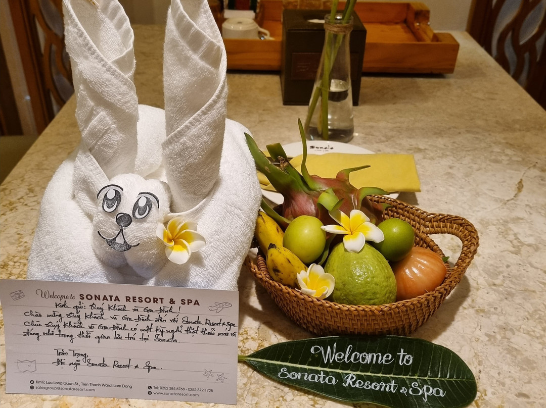 Sonata Resort & Spa主图