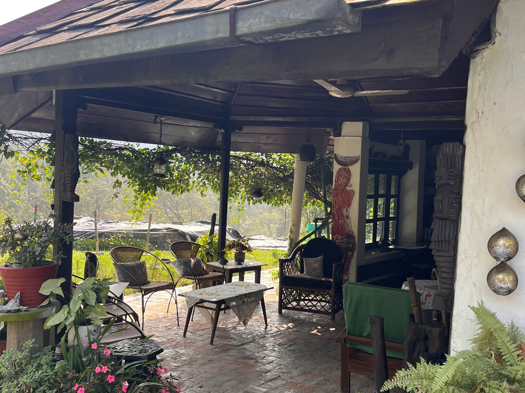 Darang Tea Estate主图