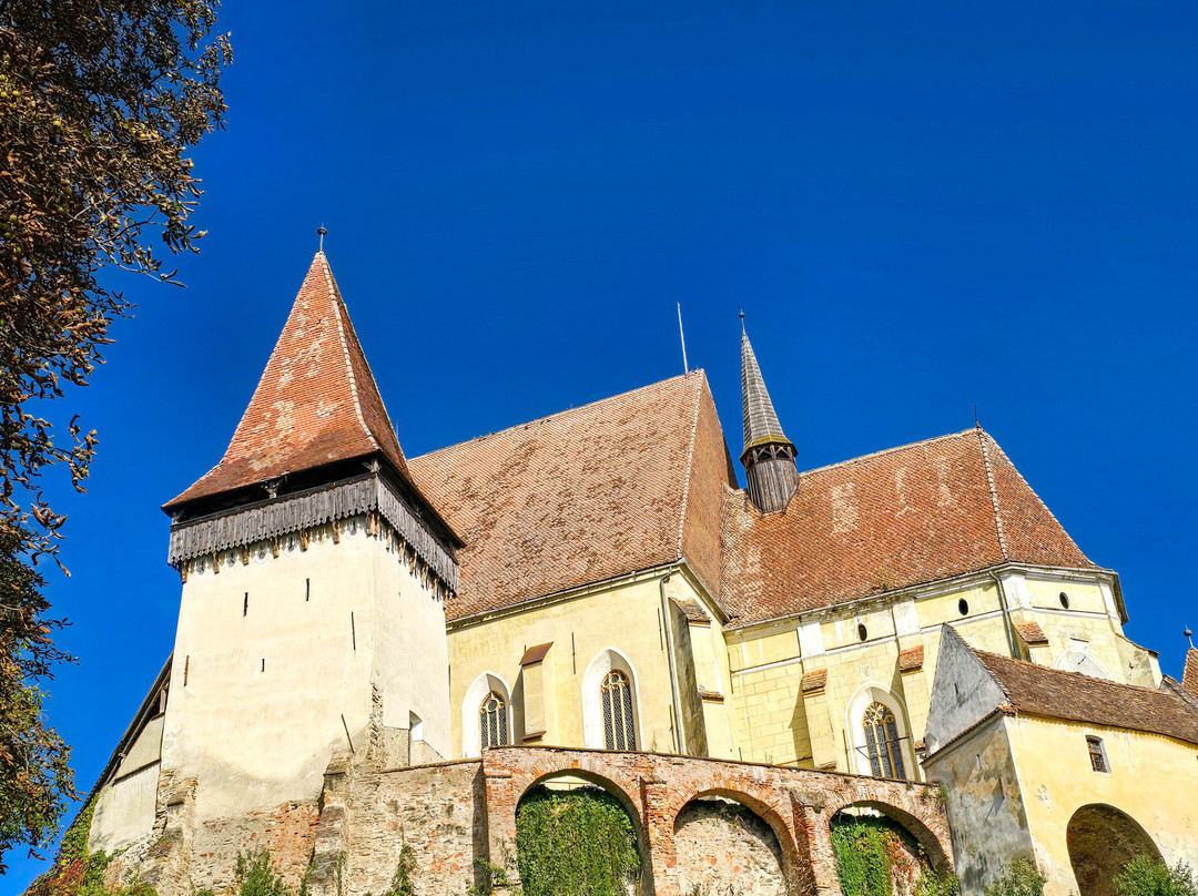 Your Guide In Transylvania - Premium Private Tours-锡吉索拉必去景点