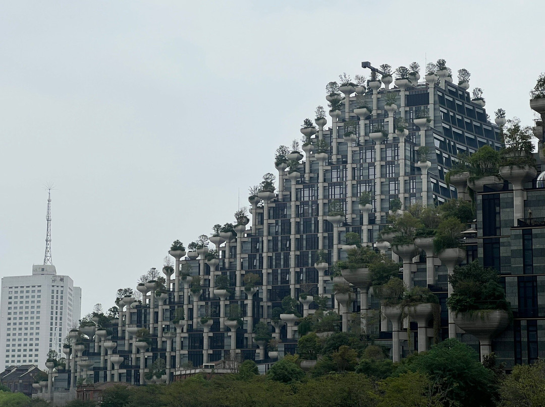 大洋晶典·天安千树-上海市必去景点