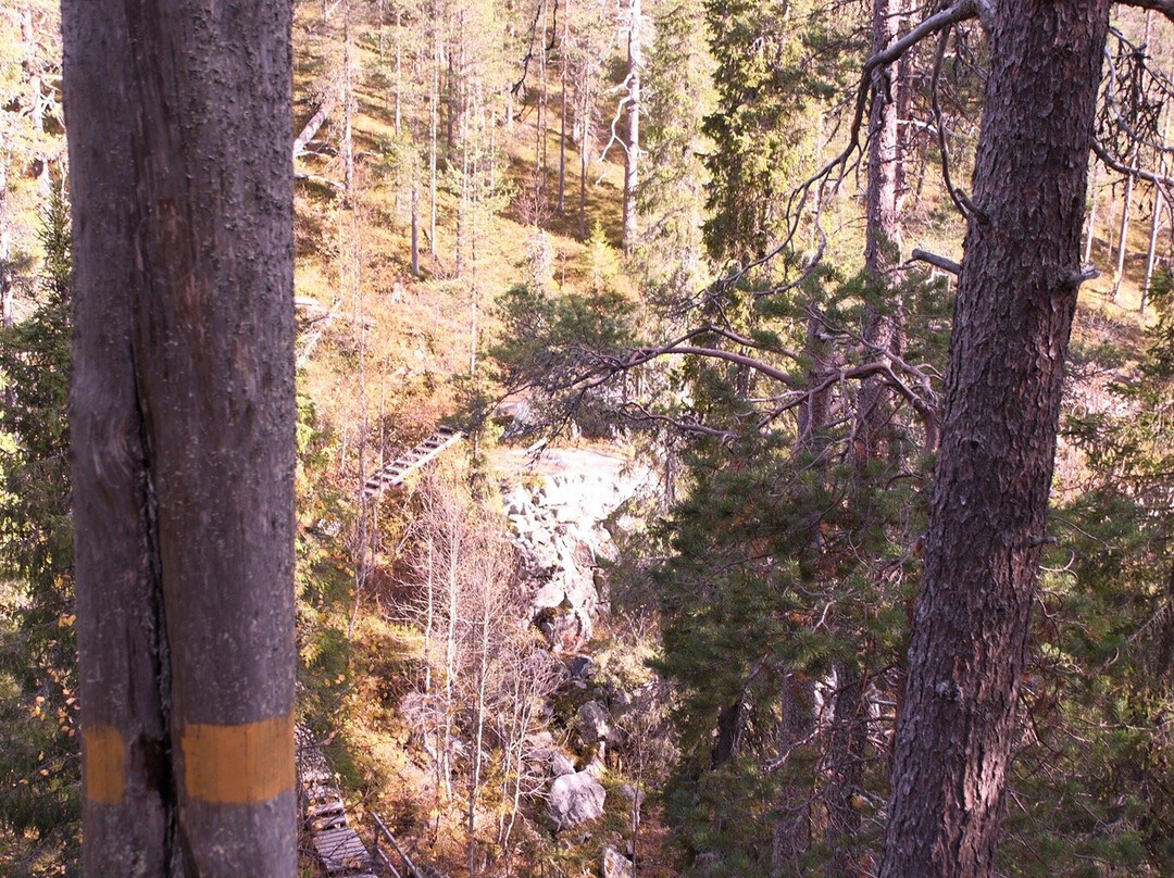 Kivitunturi Hiking Trail-Savukoski必去景点