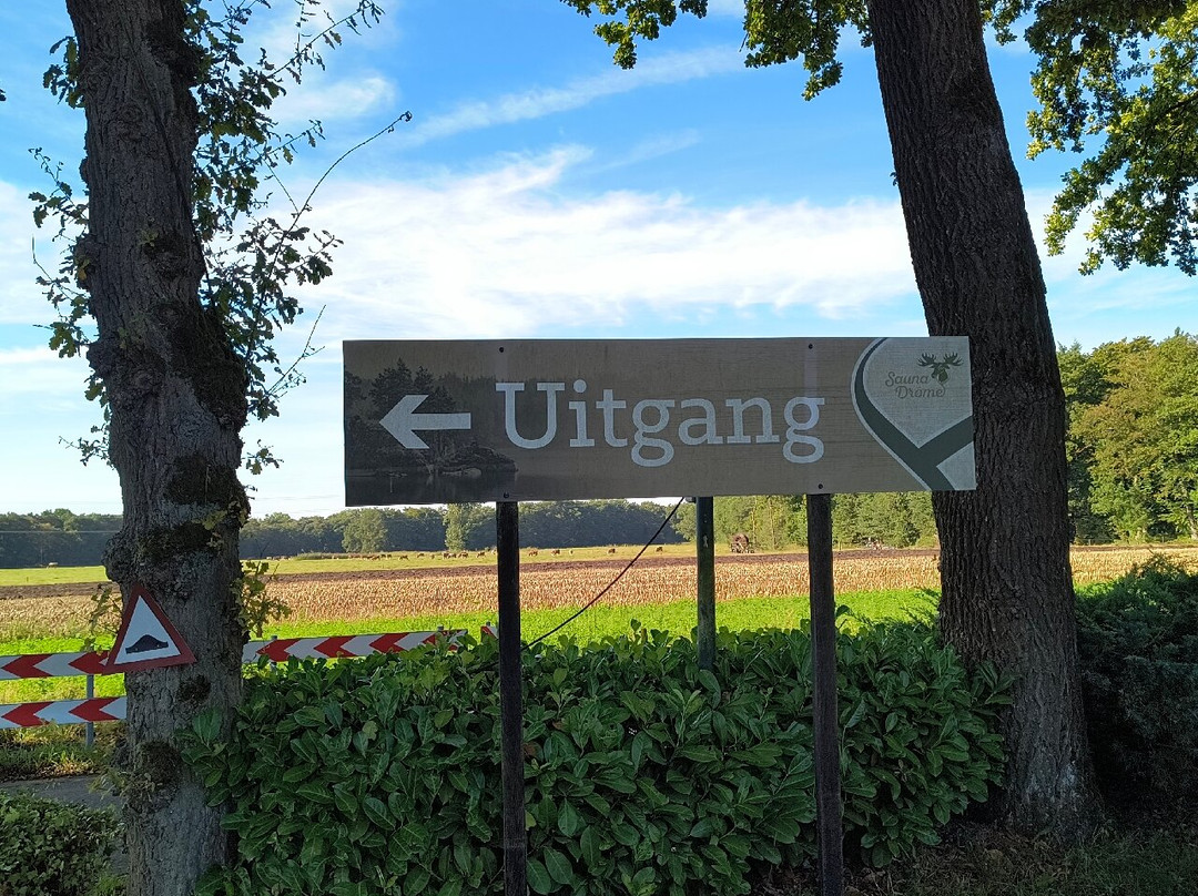 Sauna Drôme-Putten必去景点