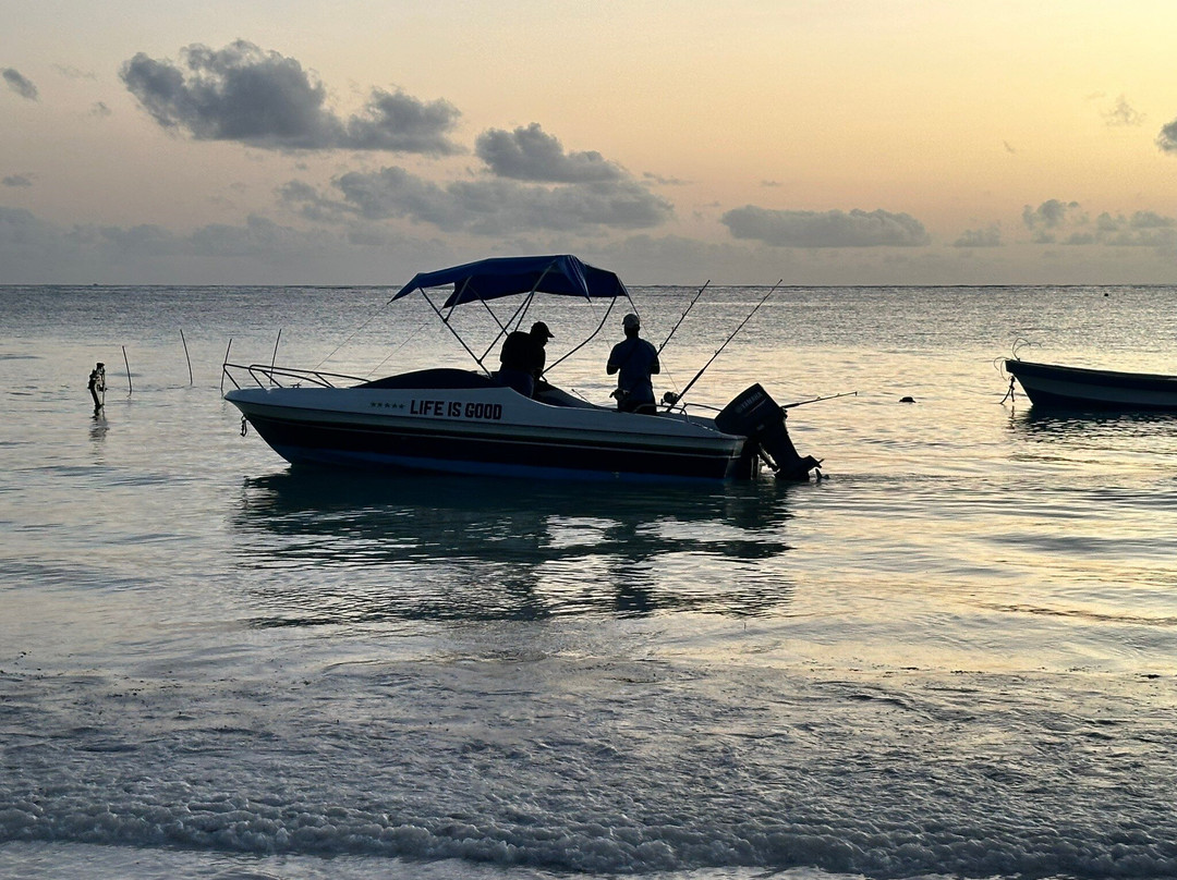 Panamwe Tours & safaris-Pwani Mchangani必去景点