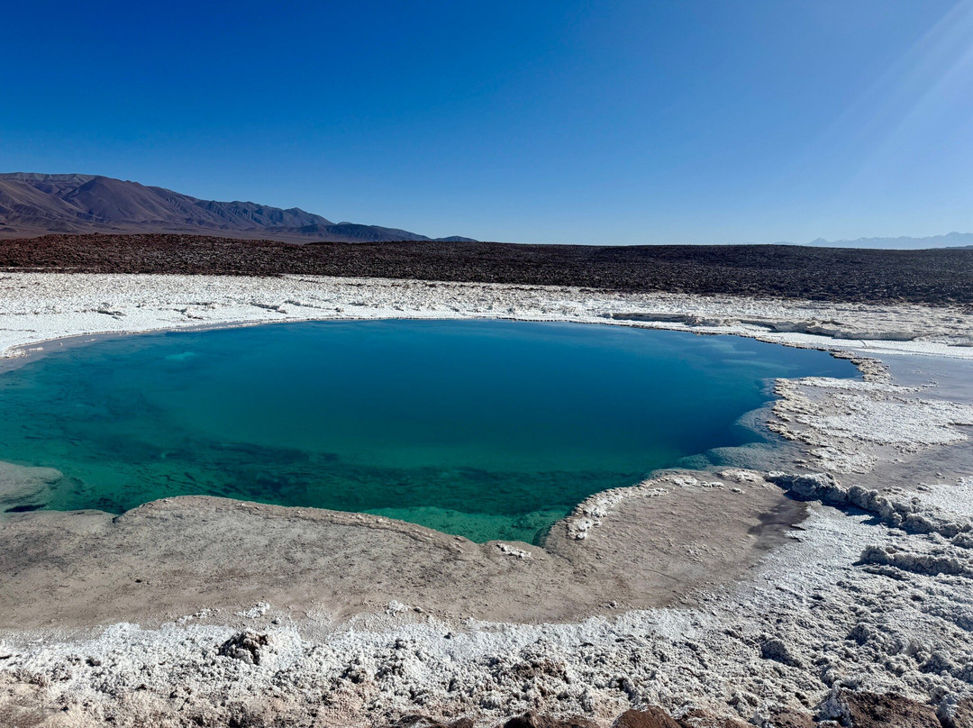 Lagunas Baltinache-圣佩德罗-德阿塔卡马必去景点
