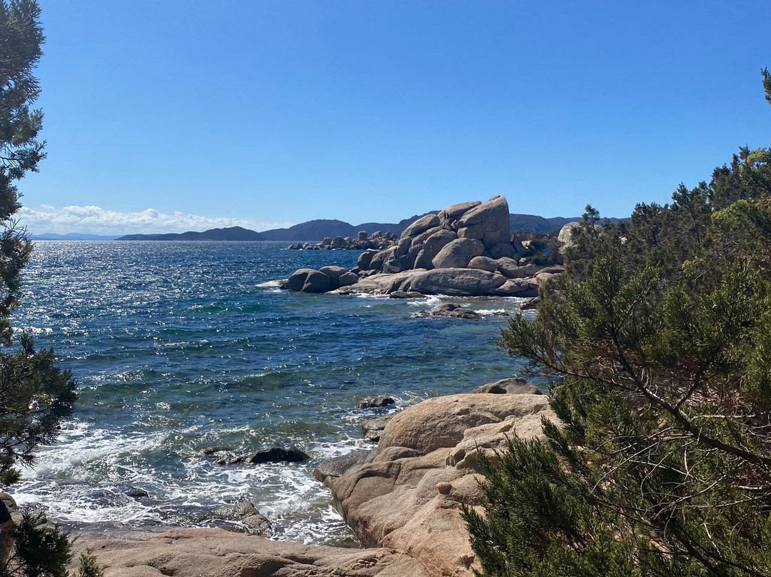 Plage de Tamaricciu-维琪奥港必去景点