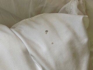 Fairview Inn & Suites Whitewater WI主图