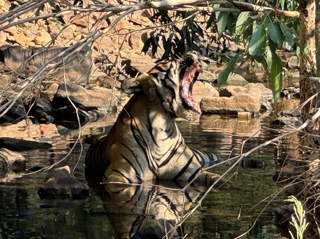Nature Wanderers-Ramnagar必去景点