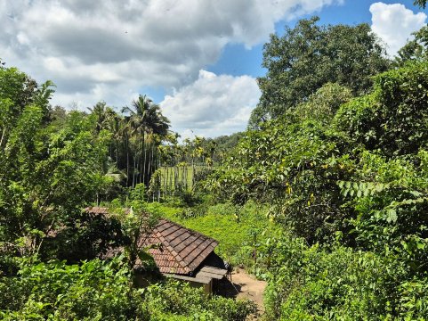 Varnam Homestay-官方