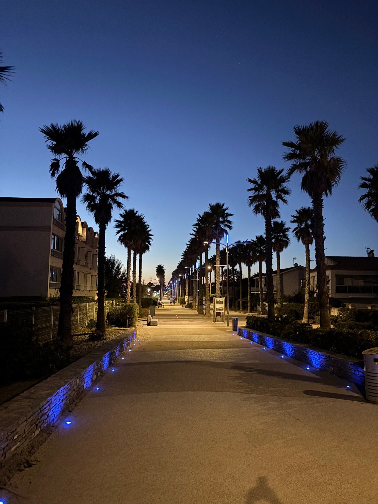 Camping la Creole-官方