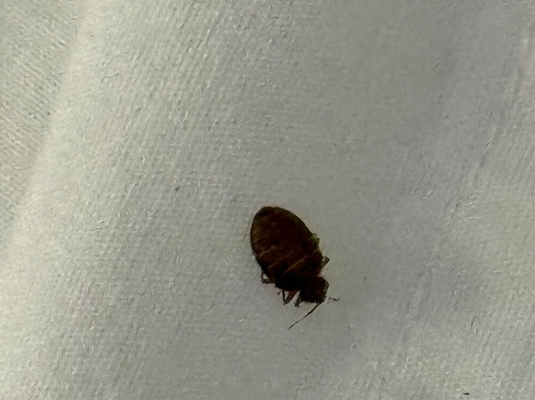 费尔霍普汉普顿酒店主图