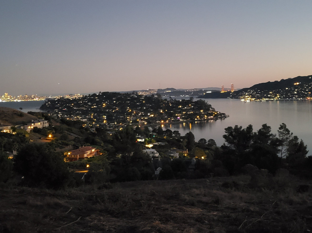 Hippie Tree-Tiburon必去景点