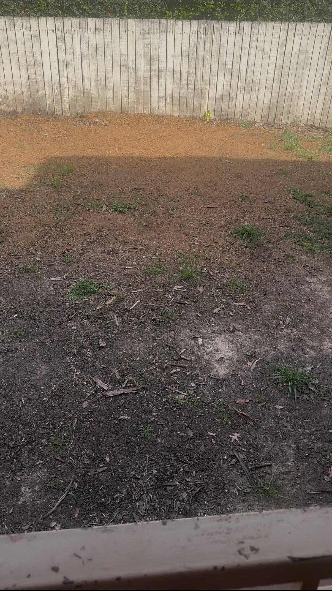 Mercure Canberra-官方