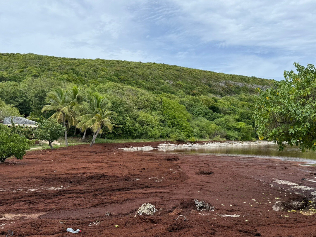 Lagon de la Porte d'Enfer-Anse-Bertrand必去景点