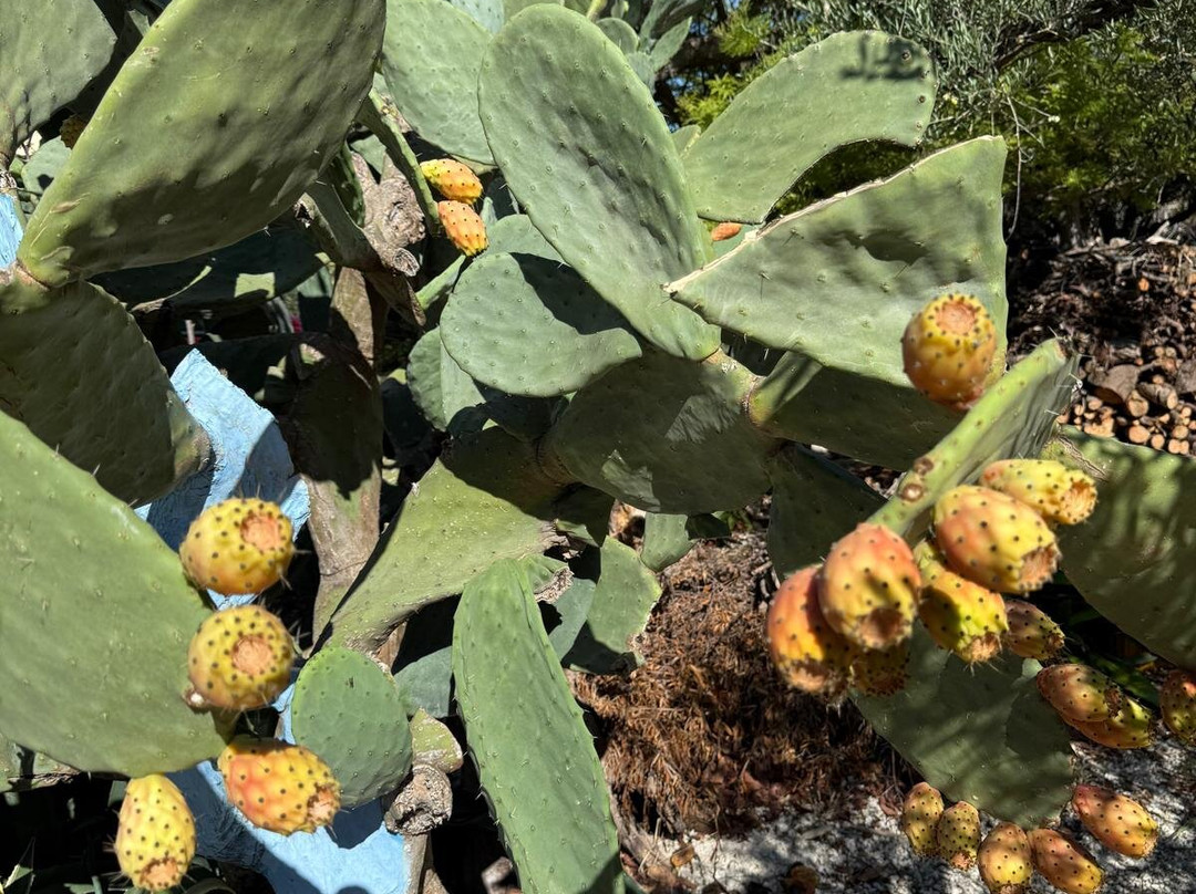 B&B Dai Siciliani Paolo e Paola主图