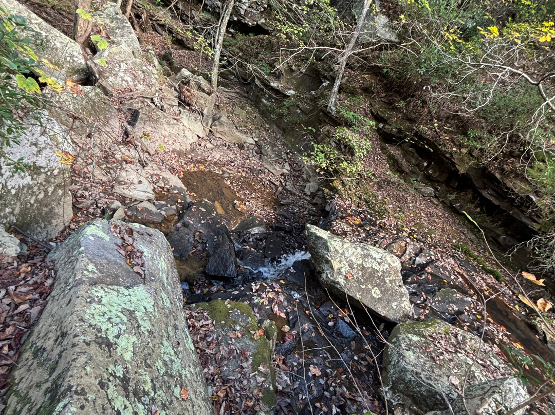 Bigfoot Adventure TN-Tracy City必去景点