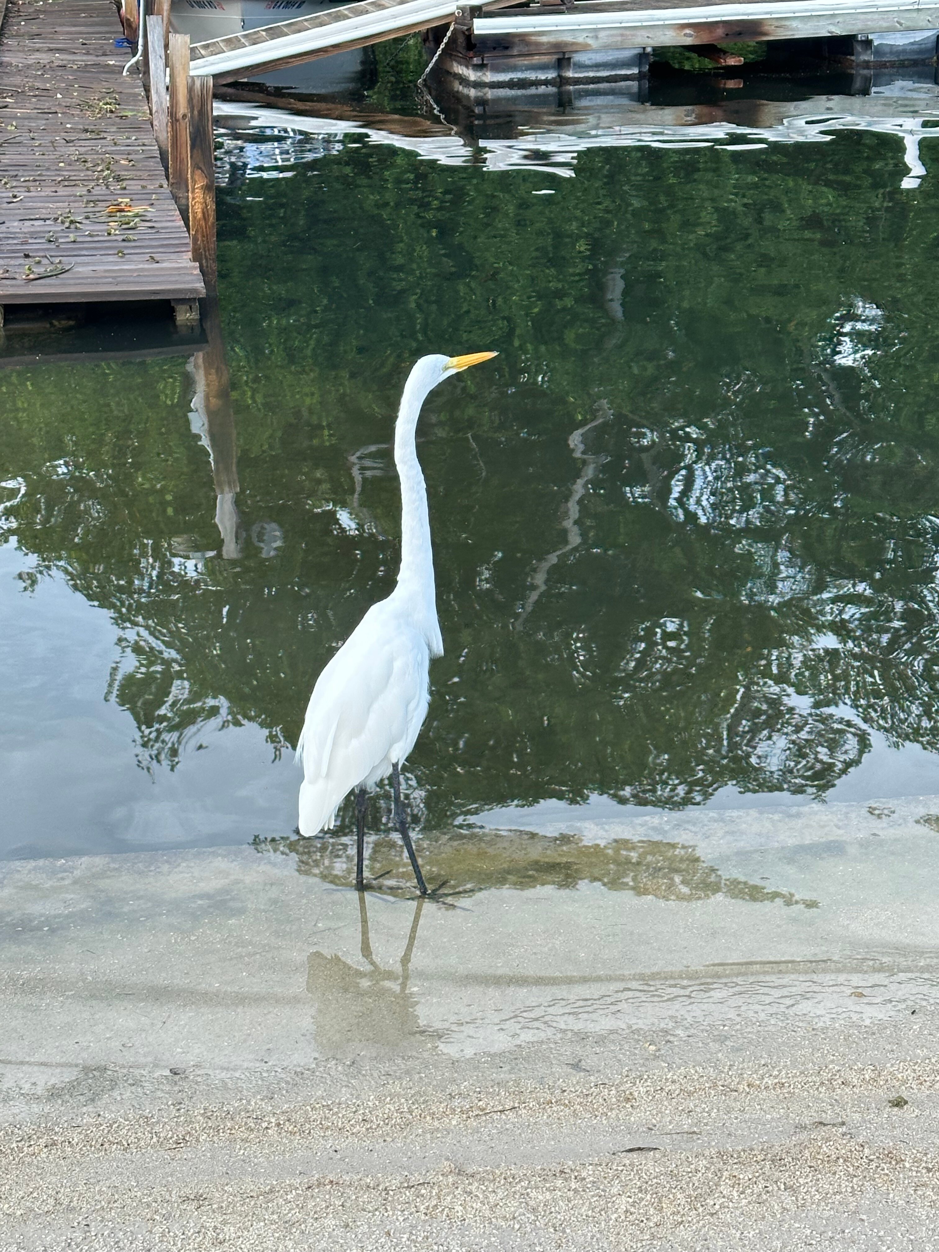 Kon-Tiki Resort-官方