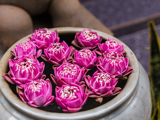 Green Amazon Residence Hotel