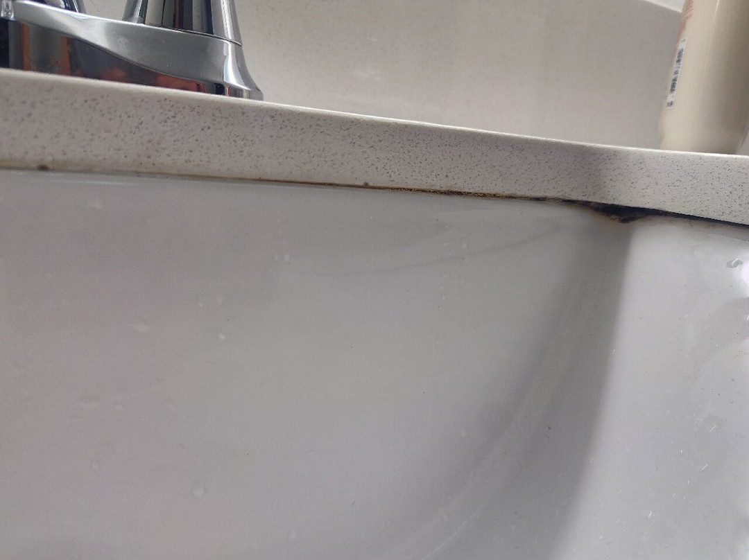 Holiday Inn Melbourne-Viera Conference Ctr by IHG主图