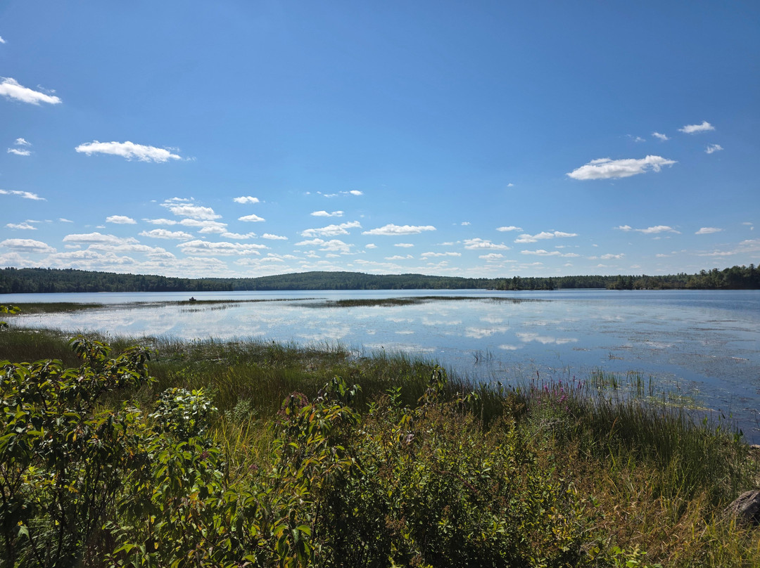 Lake Massabesic-曼彻斯特必去景点