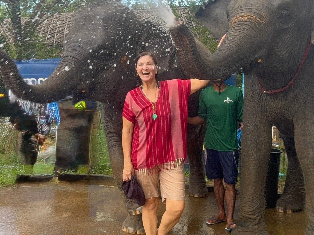Kerchor Elephant Family Phuket-卡图必去景点