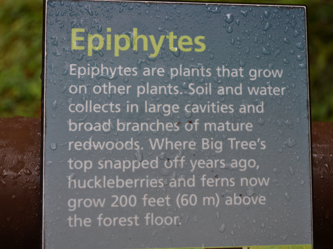 Prairie Creek - Foothill Trail Loop-Orick必去景点