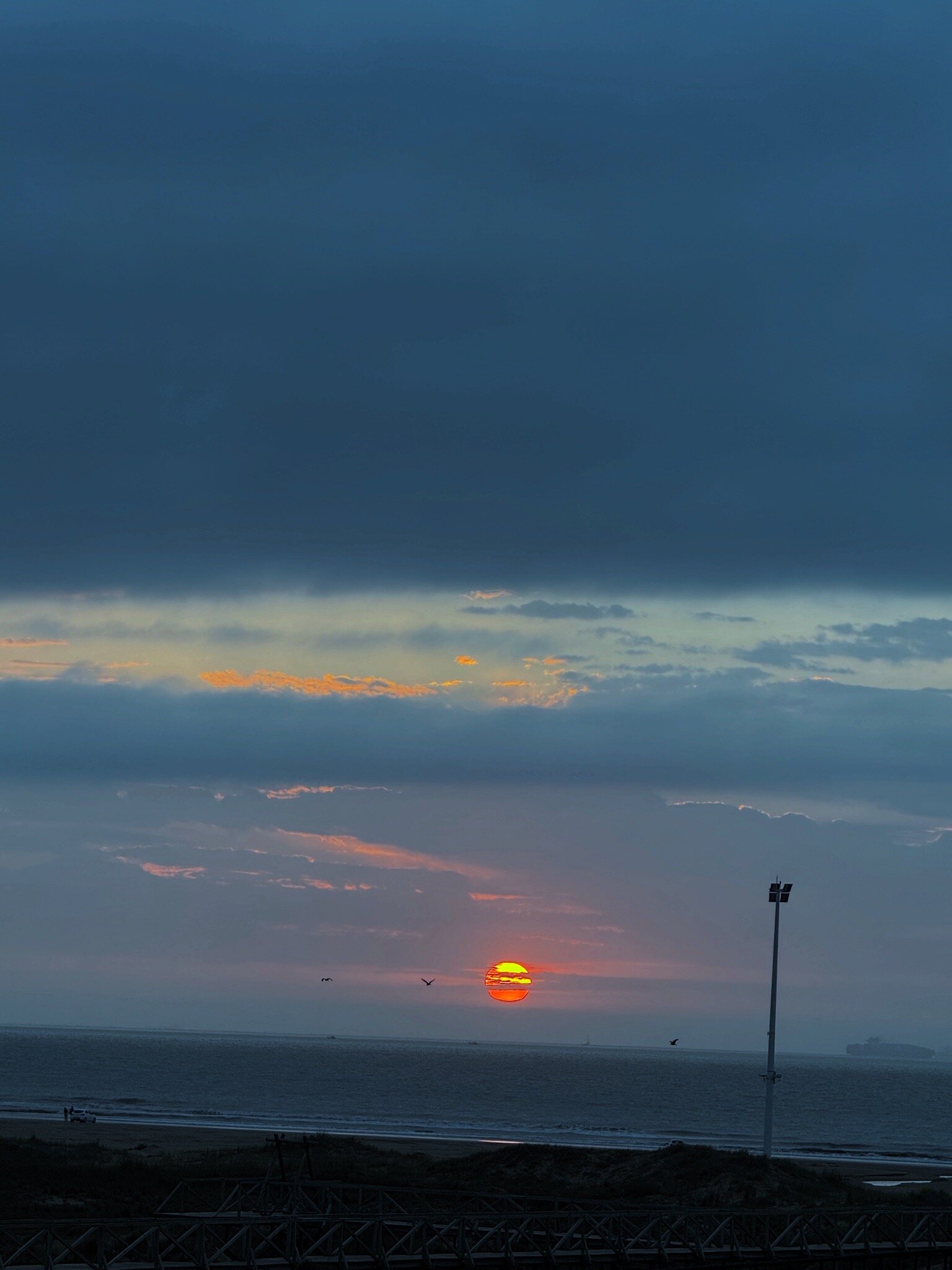 Nelson Praia Hotel-官方