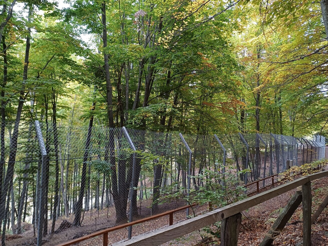 Arcturos Brown Bear Sanctuary-Nymfaio必去景点