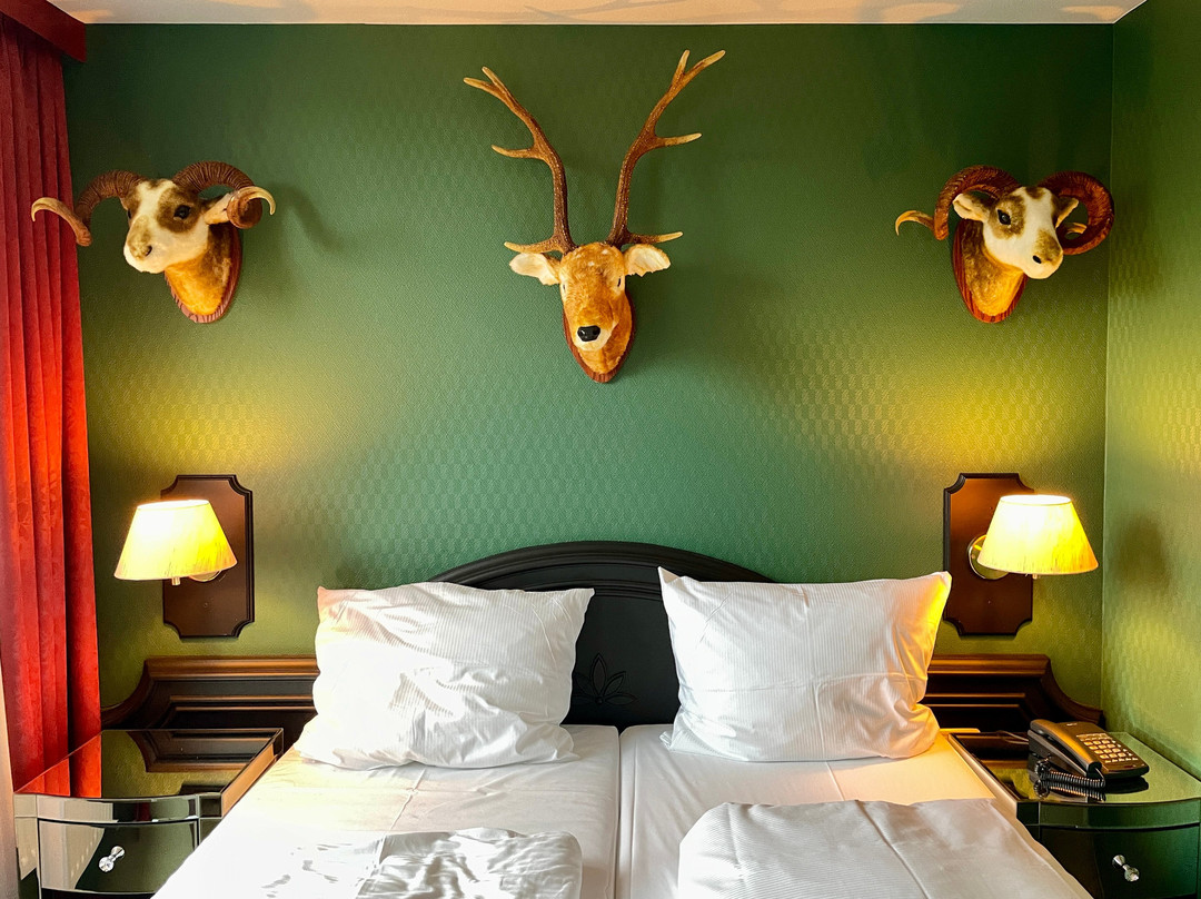 多瑙艾辛根温德姆花园酒店主图