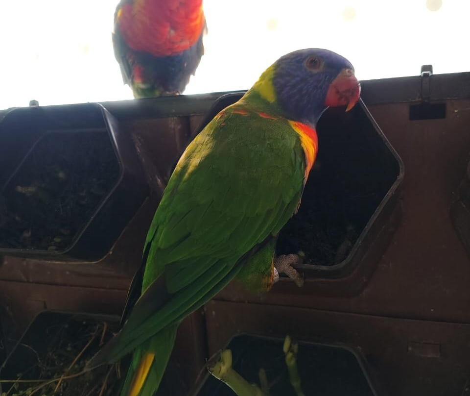 Oceanic Aquarium-康泊琉海水浴场必去景点