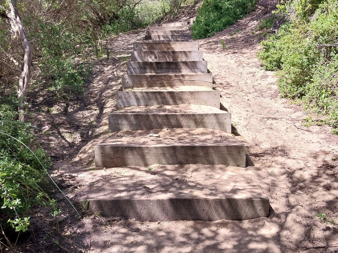 George Bass Coastal Walk-圣雷莫必去景点