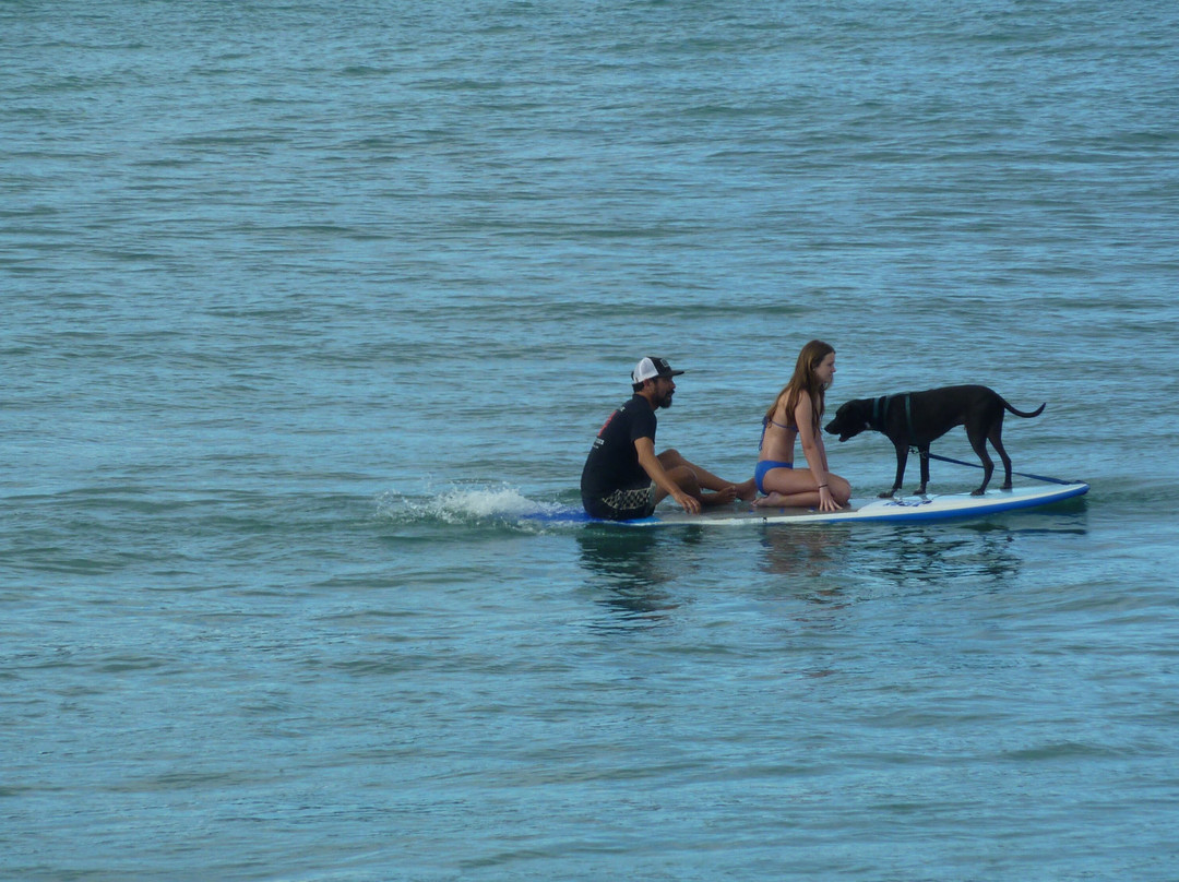 N.S.O.G. North Shore Ocean Guides-卡胡库必去景点