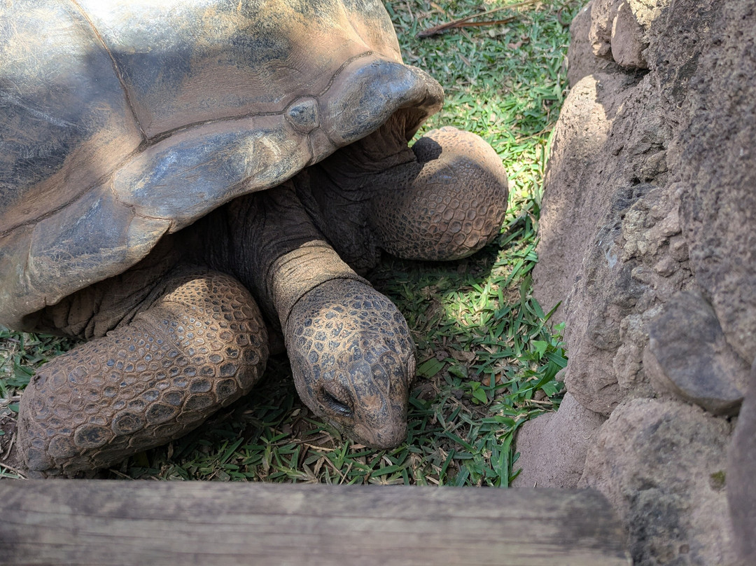 KIDAN TOUR OPERATOR-卓欧毕雪必去景点