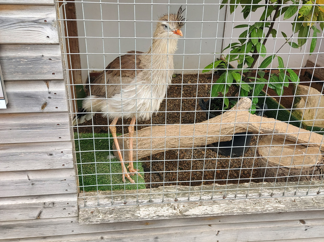 Askham Bryan Wildlife & Conservation Park-约克必去景点