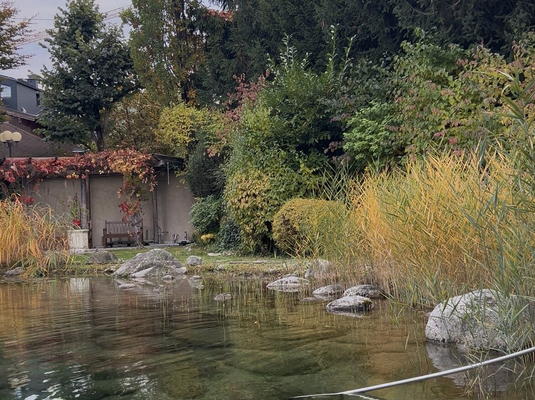 Hotel Salzburgerhof主图