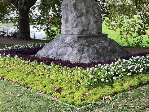 Radó-sziget-焦尔必去景点