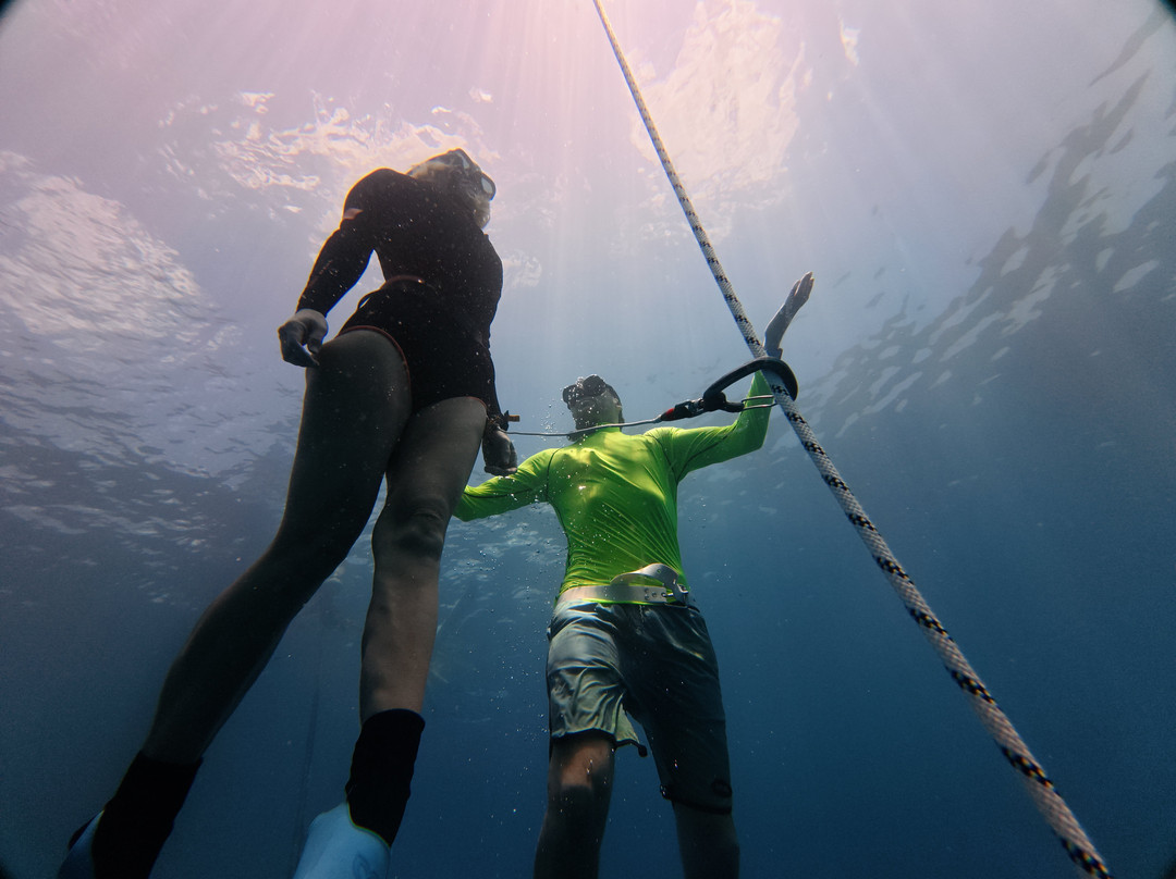 Apnea Center-迪拜必去景点