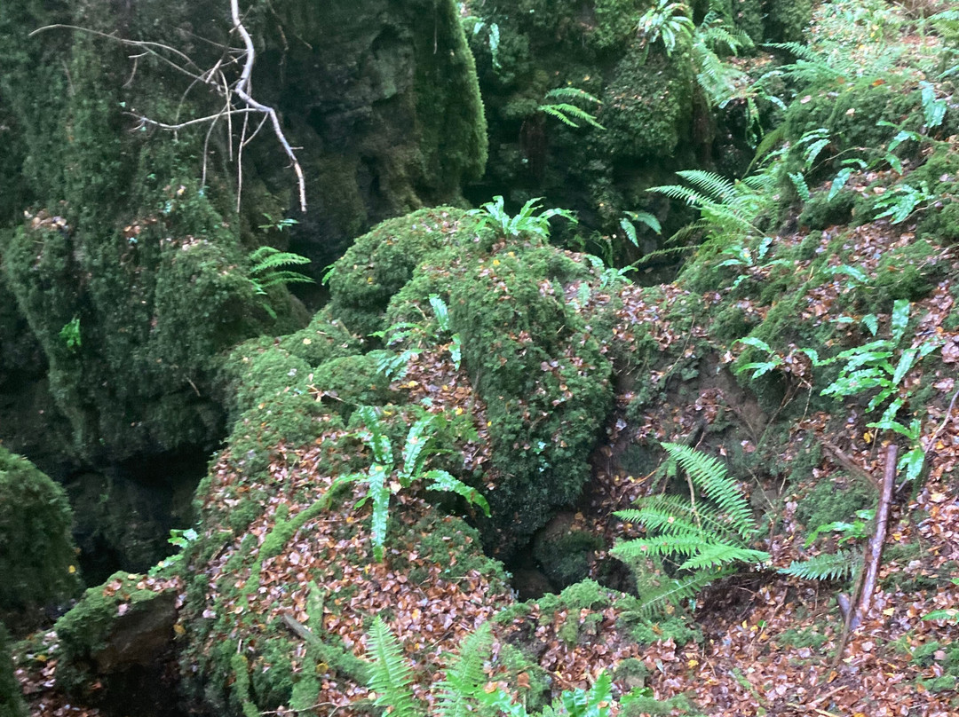 Puzzlewood-Coleford必去景点