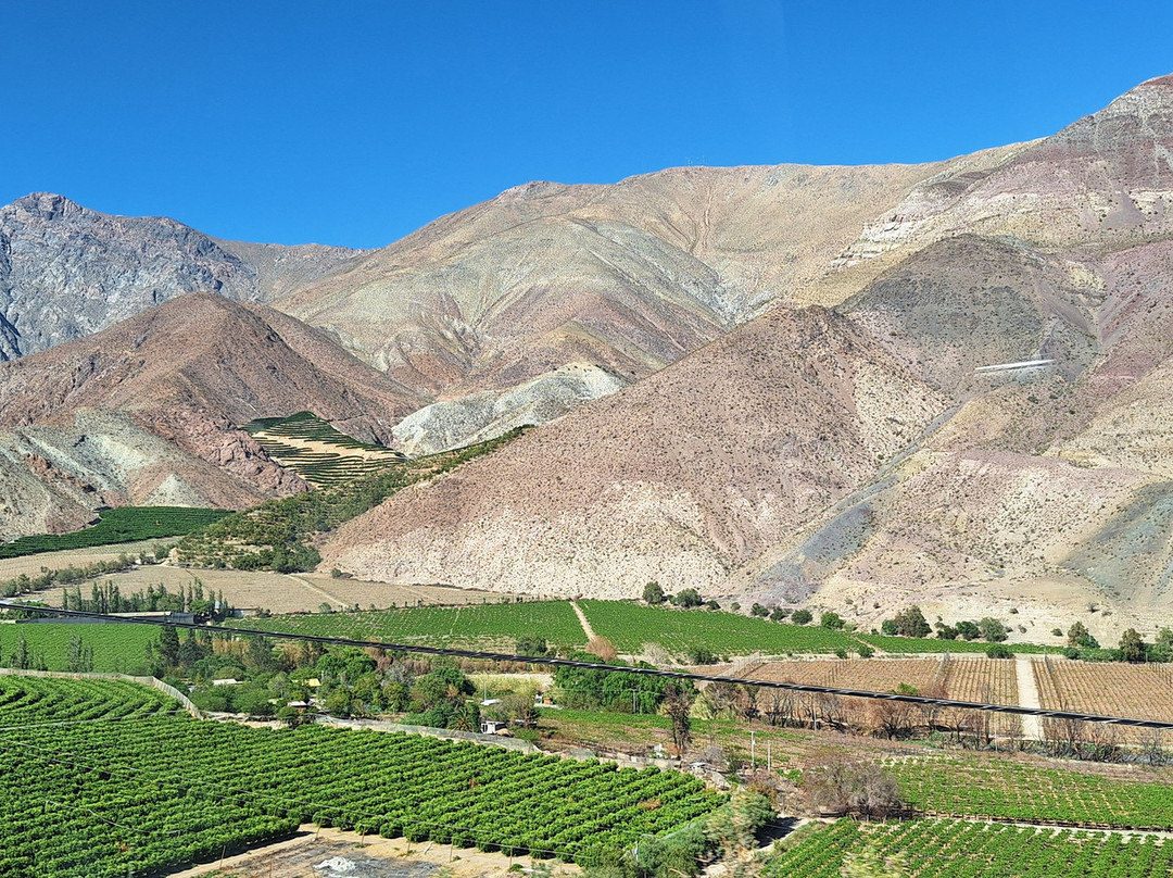 Elki Magic-Vicuna必去景点