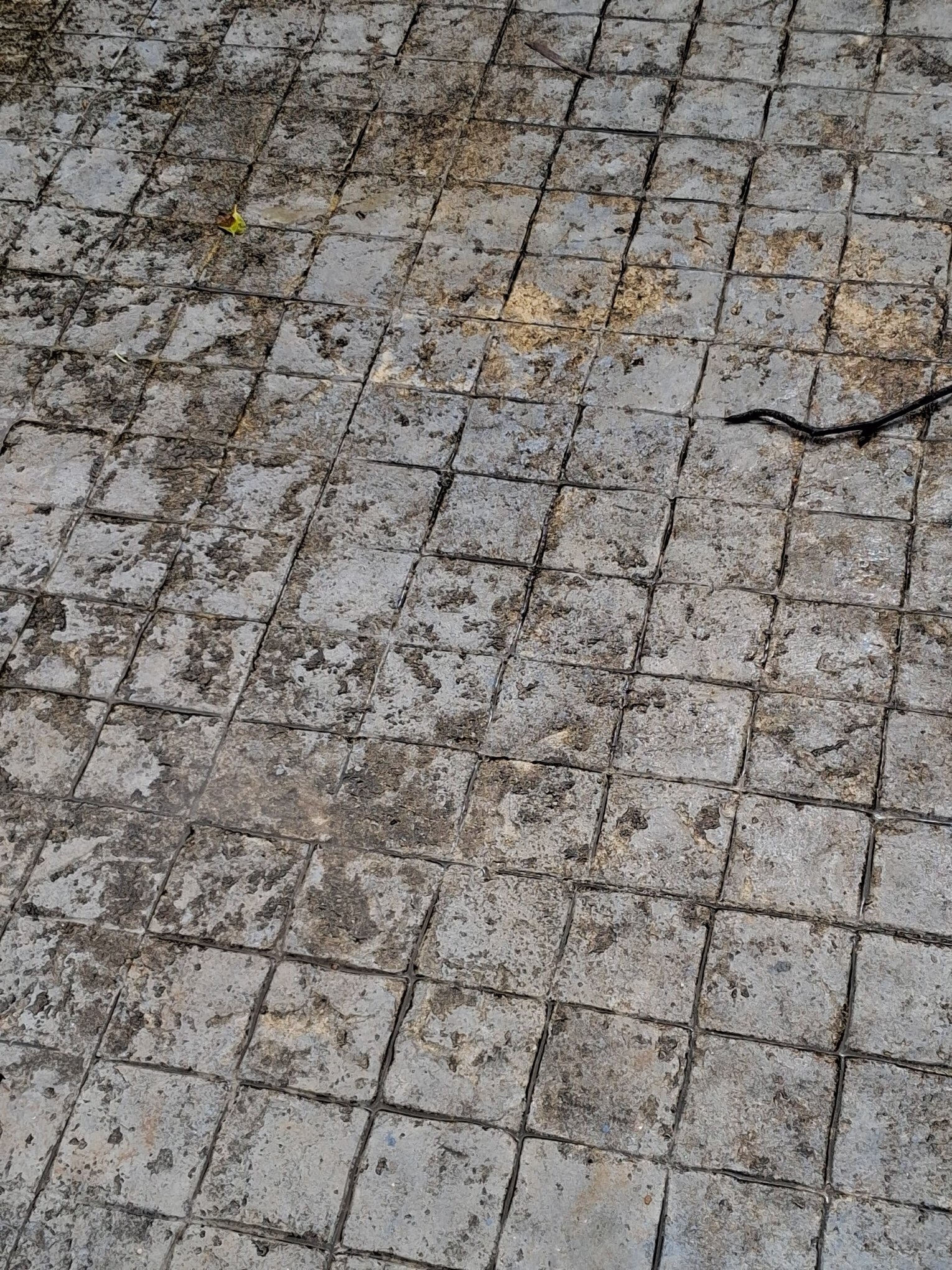 Lanta Casa Blanca-浴室