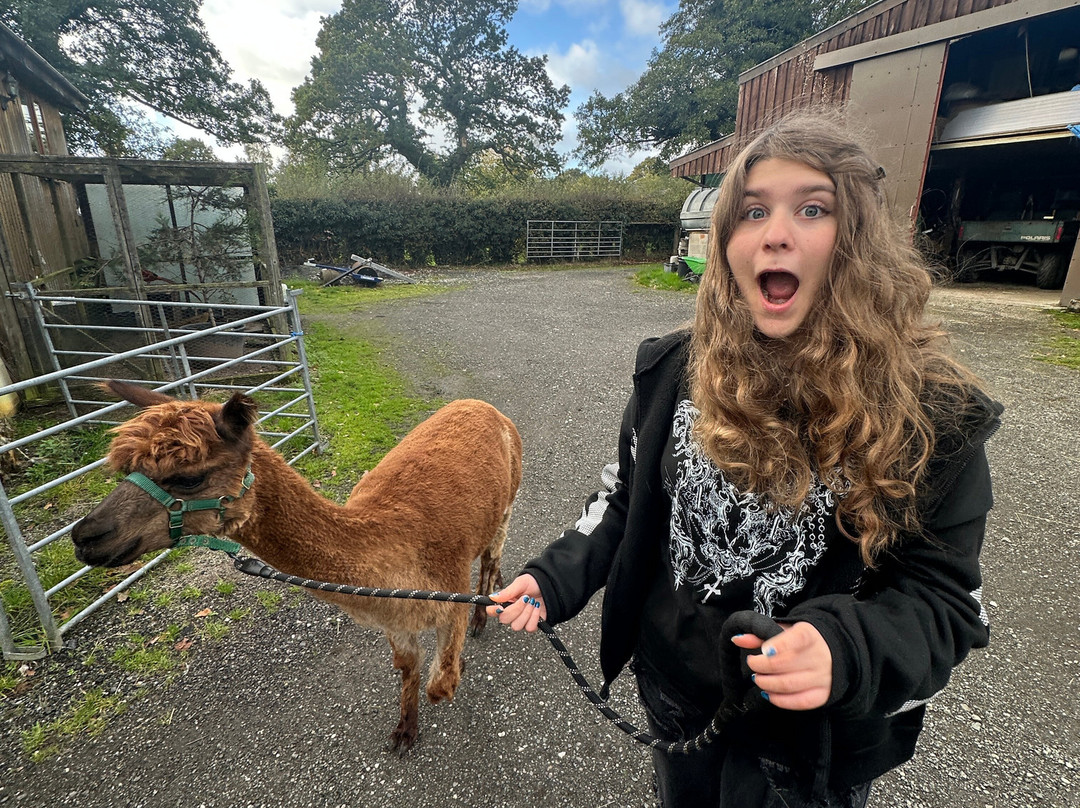 White Peak Alpaca Farm-Mobberley必去景点