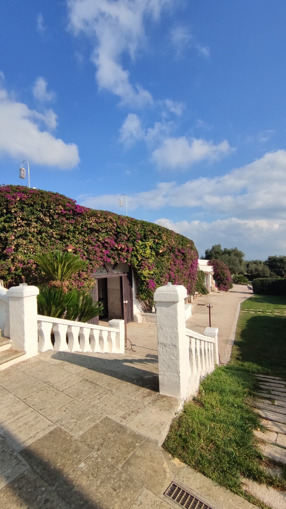 Il Trappetello-官方