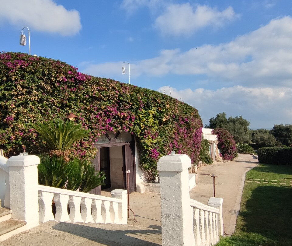 Il Trappetello主图