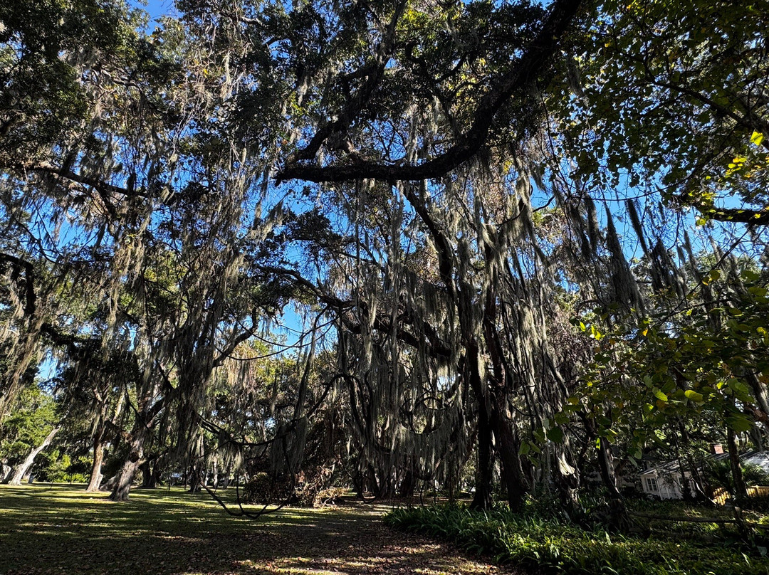 St. Simons Island-圣西蒙斯岛必去景点