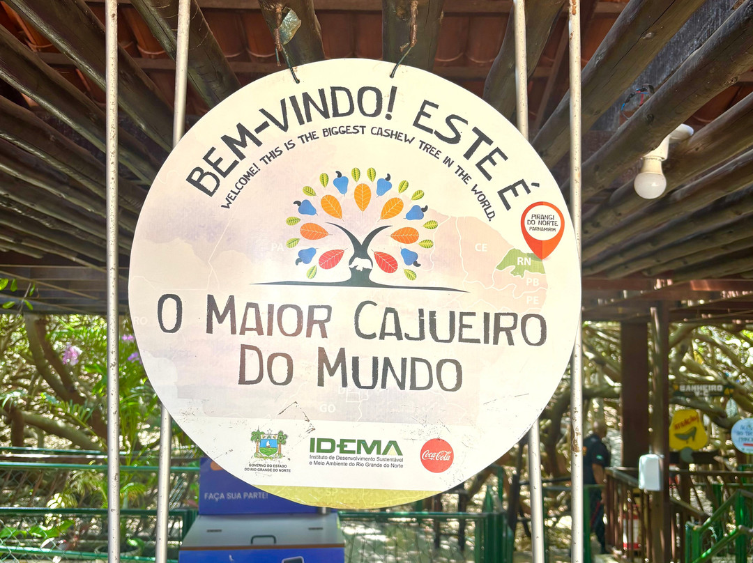 Cajueiro de Pirangi-Pirangi do Norte必去景点