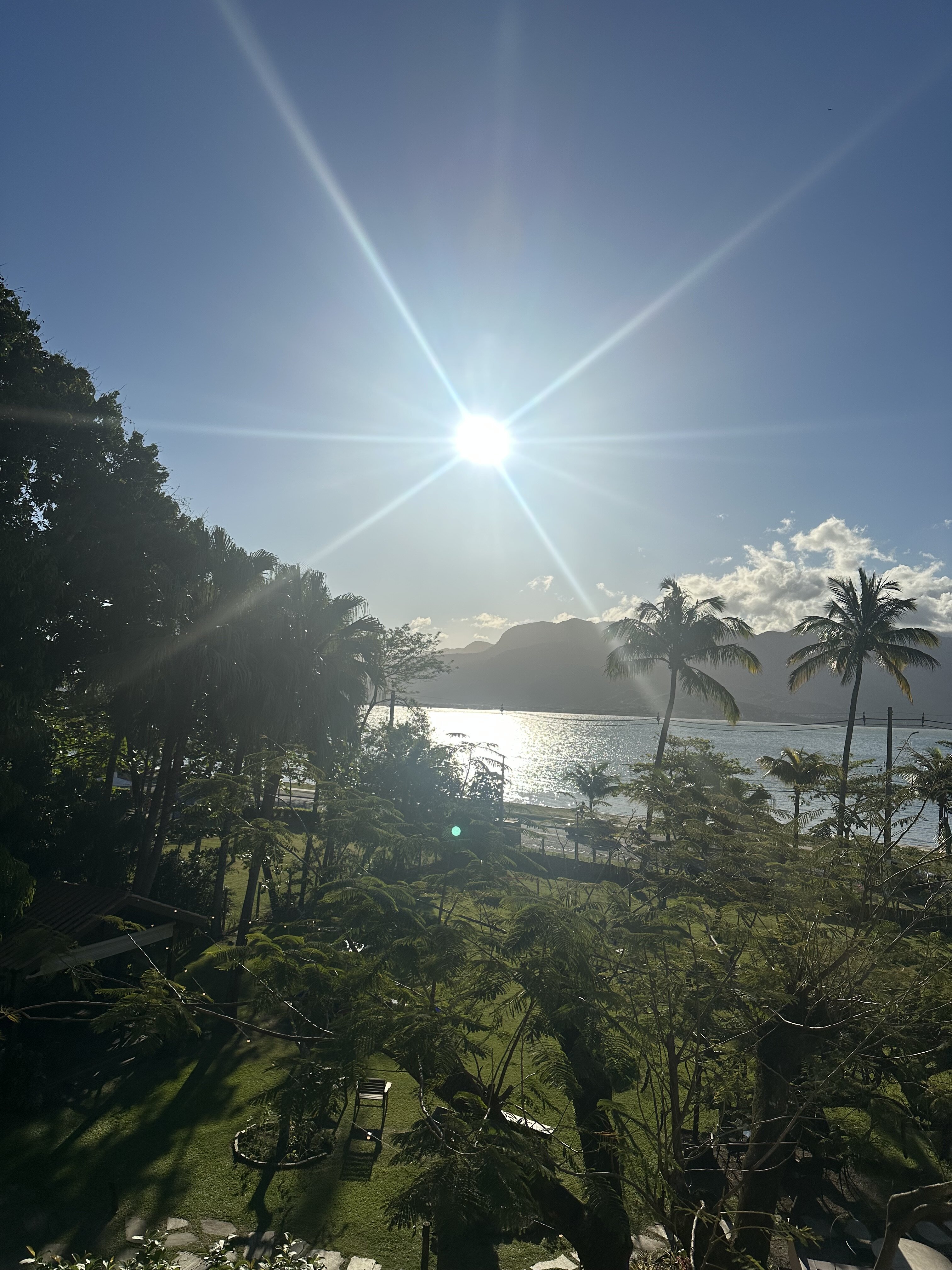 Velas do Engenho-官方