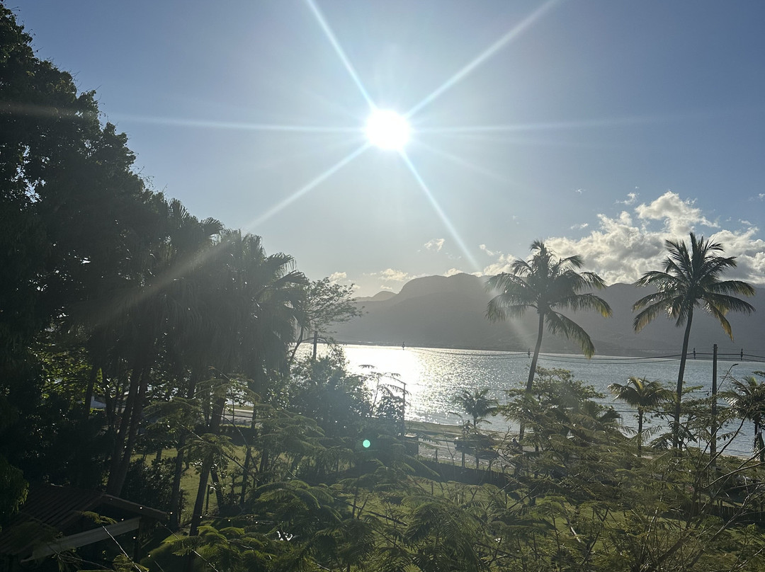 Velas do Engenho主图