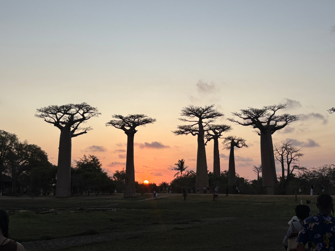 Friendly Tour Guide Madagascar-安塔那那利佛必去景点