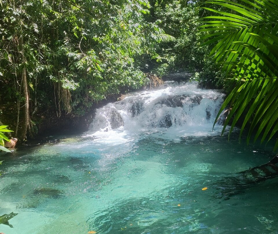 JalapaMax | Turismo-Palmas必去景点