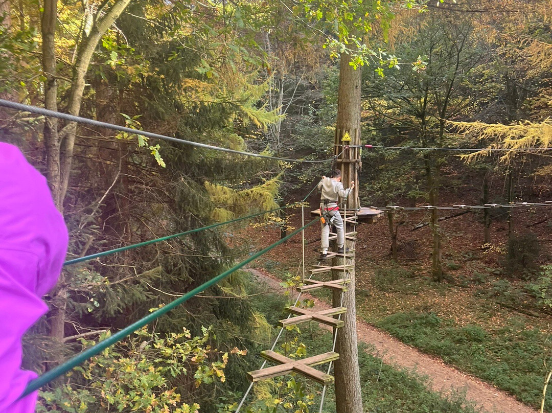 Go Ape Dalby-Thornton-Le-Dale必去景点